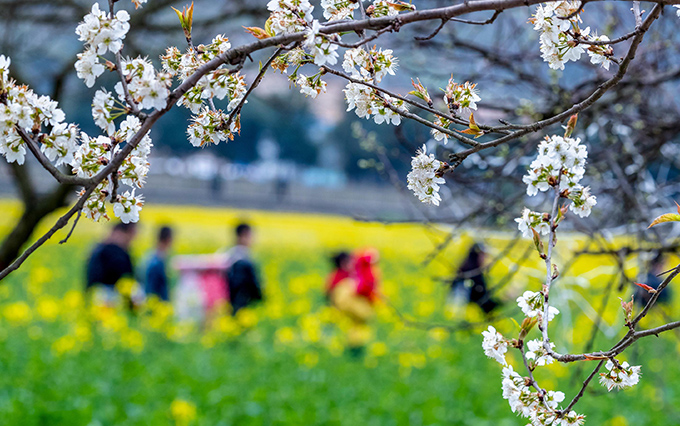 赛亚传感清明节放假通知